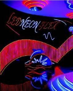 LED Neon Flex