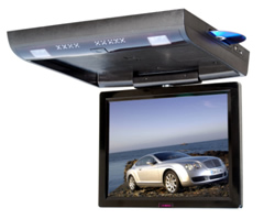 Monitor LCD con DVD Player